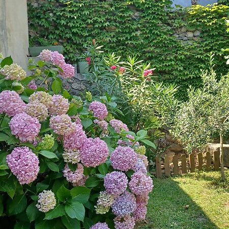 Bed and Breakfast Les Glycines Ле-Виган Экстерьер фото
