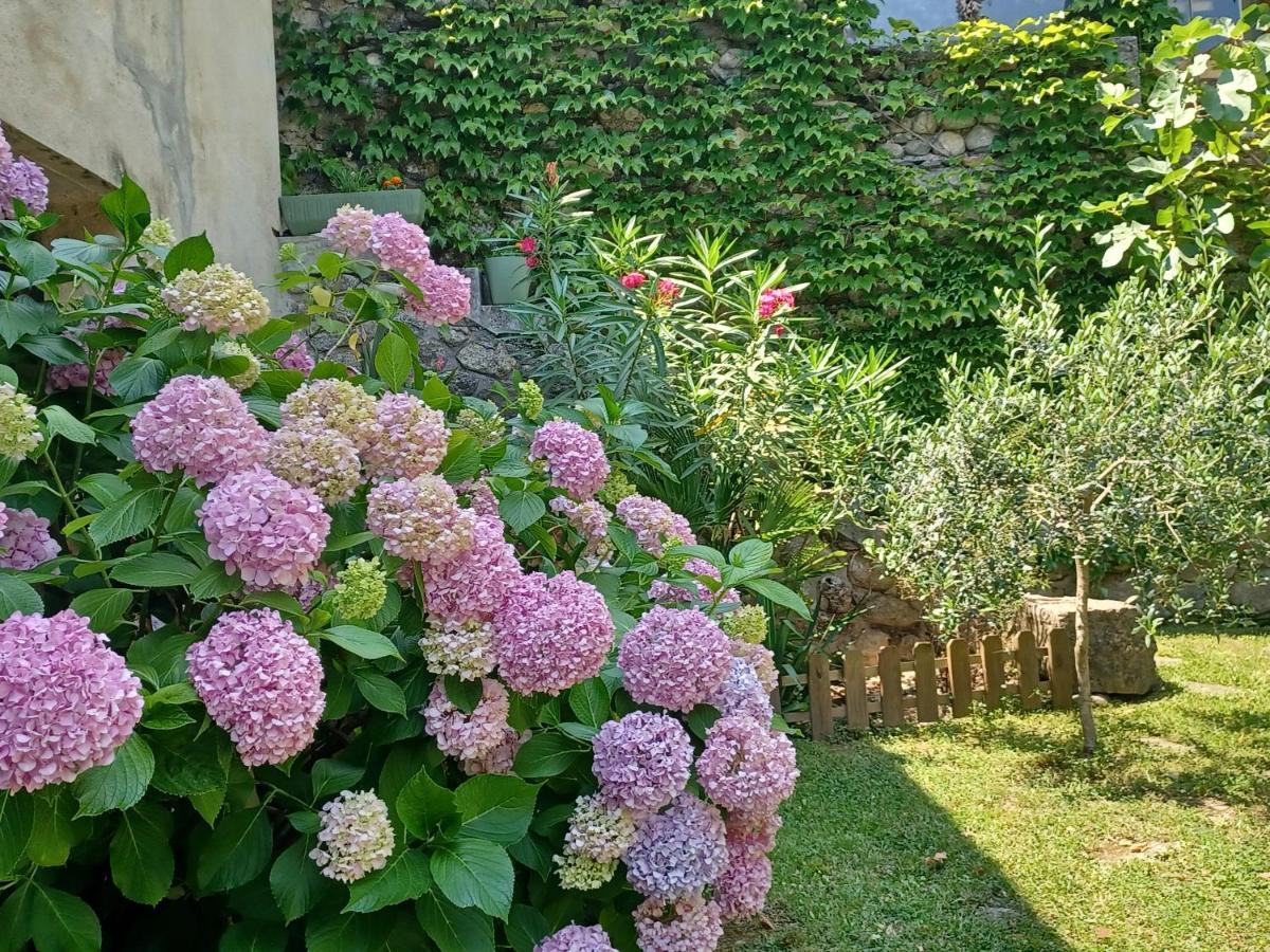 Bed and Breakfast Les Glycines Ле-Виган Экстерьер фото